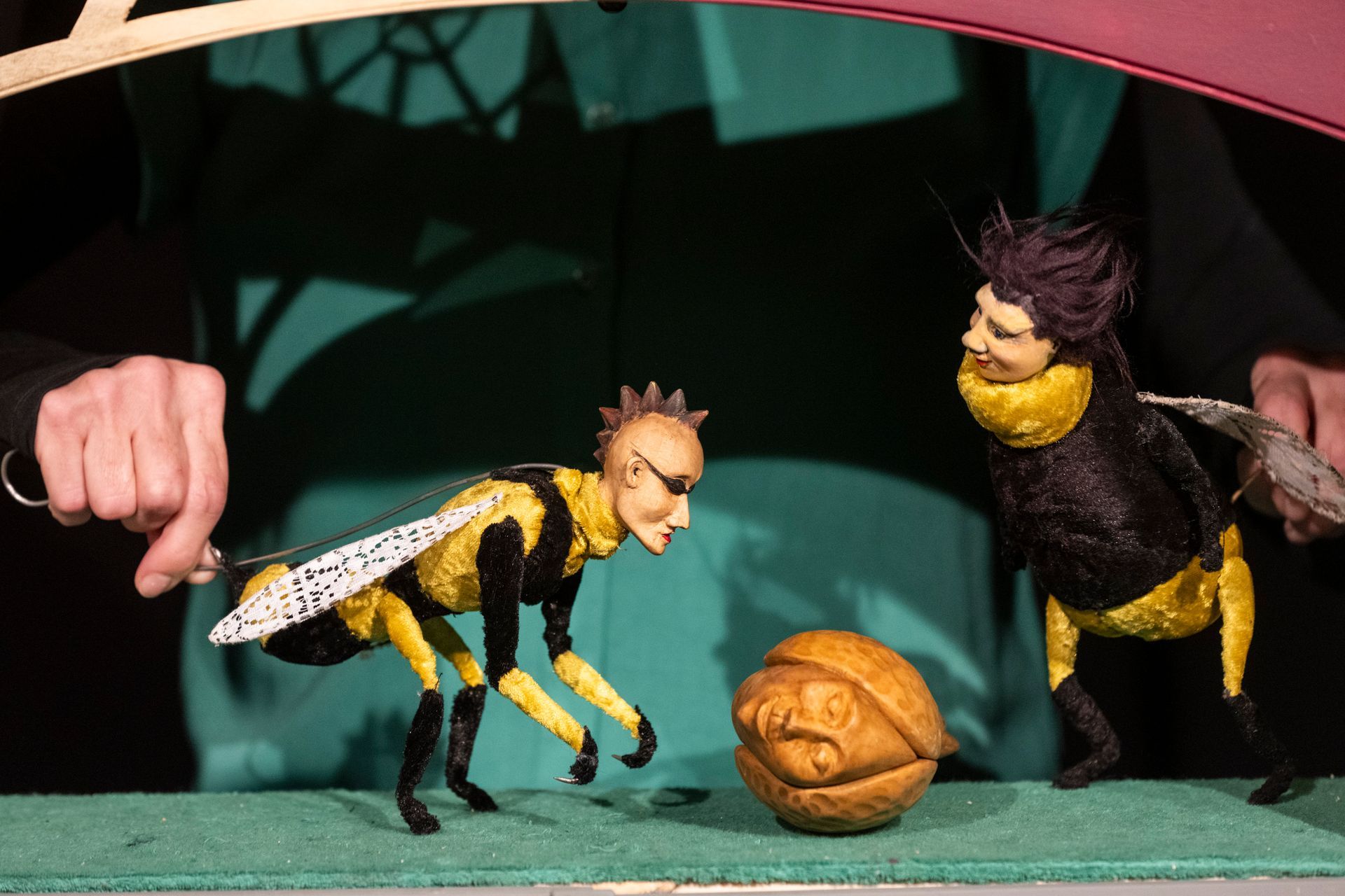 Eine Bienenpuppe wird von einer Person gehalten