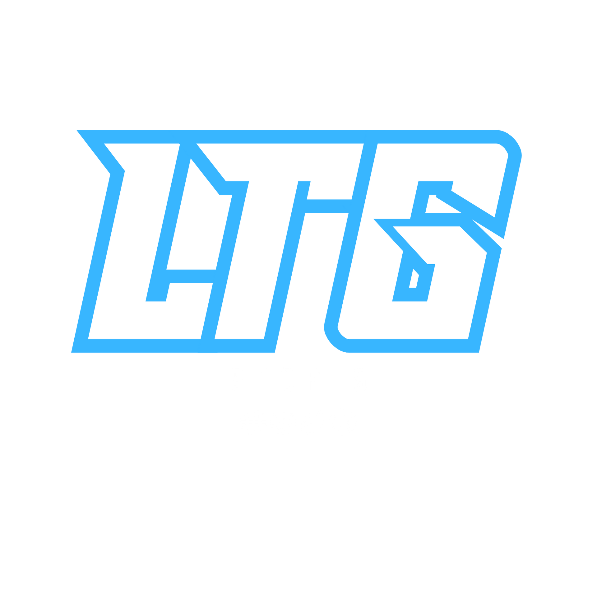 Logo for The Courts-Colorado