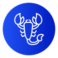 bedbugs