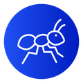 ants