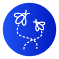 flying bugs