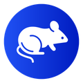 rats and mice