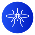mosquito