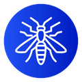 wasp