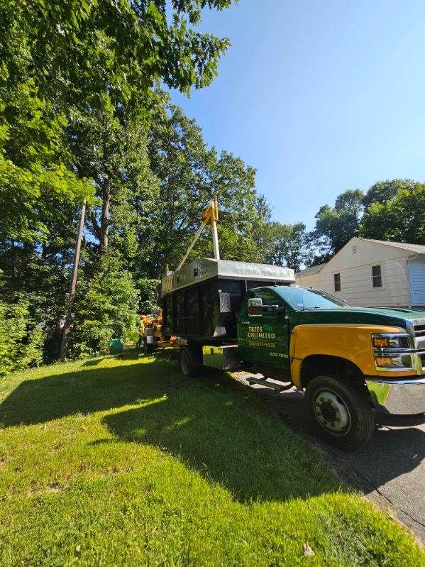 View Our Gallery | Rutland, MA | Trees Unlimited