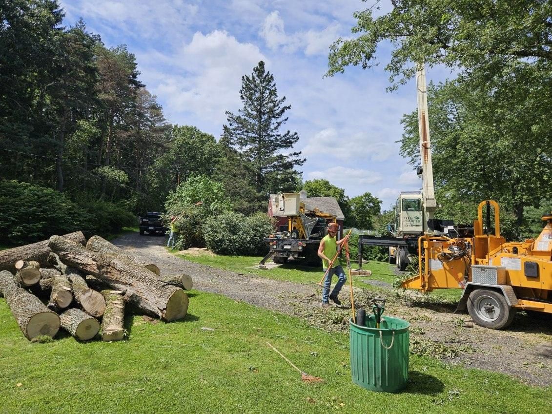 View Our Gallery | Rutland, MA | Trees Unlimited