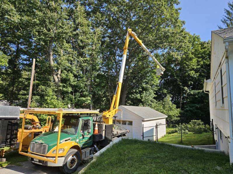 Tree Trimming Truck Images Three - Rutland, MA - Trees Unlimited