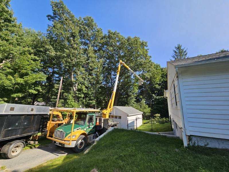 Tree Trimming Truck Images Eight - Rutland, MA - Trees Unlimited