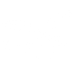 Tasty Olive Company logo