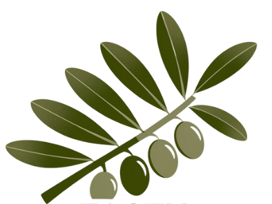A branch of olives with green leaves on a white background