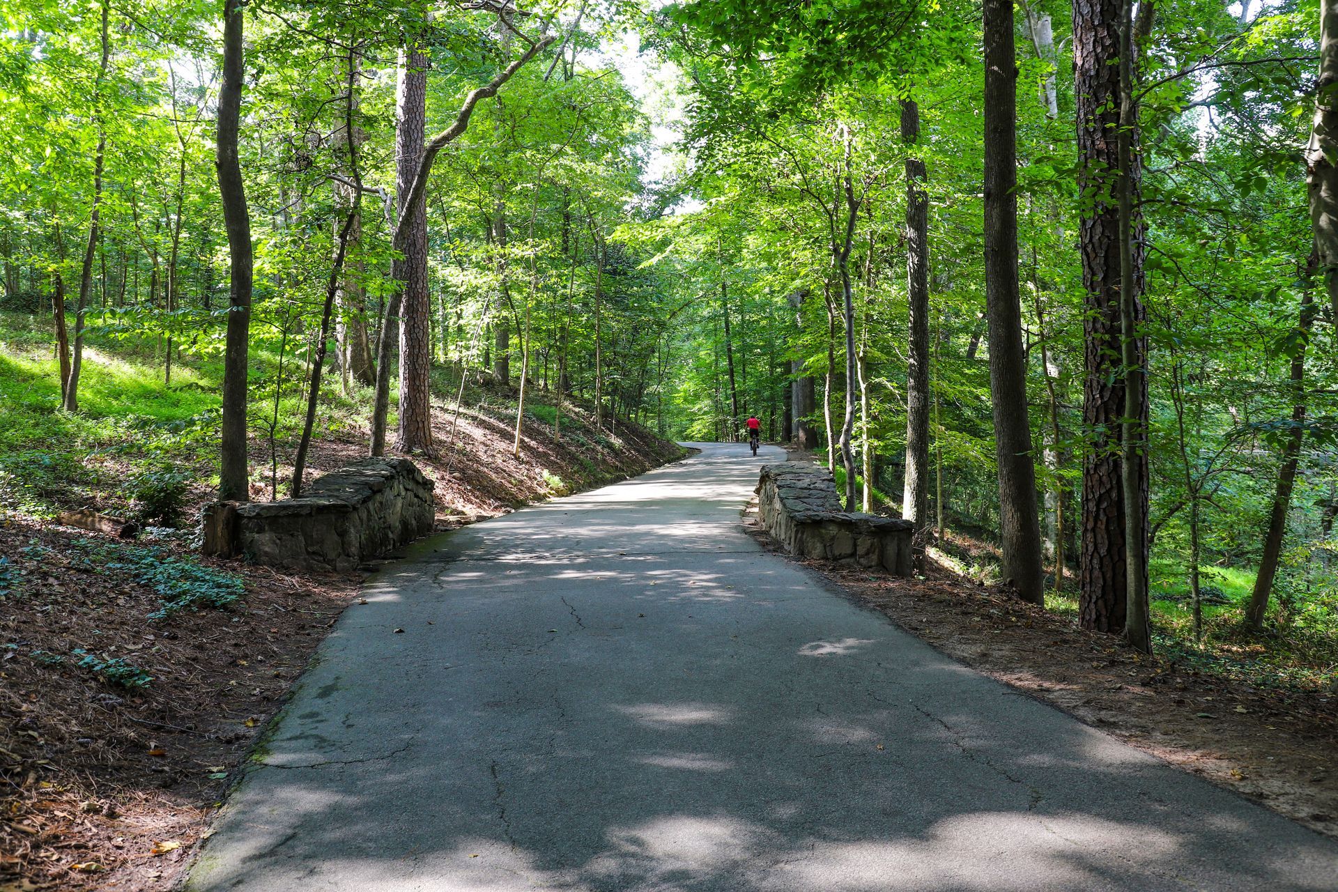 section-image