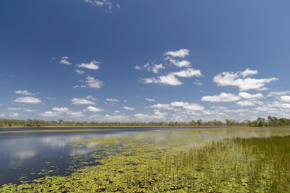 A Large Body Of Water With A Blue Sky And Clouds In The Background — PASMA Electrical In Mareeba, QLD
