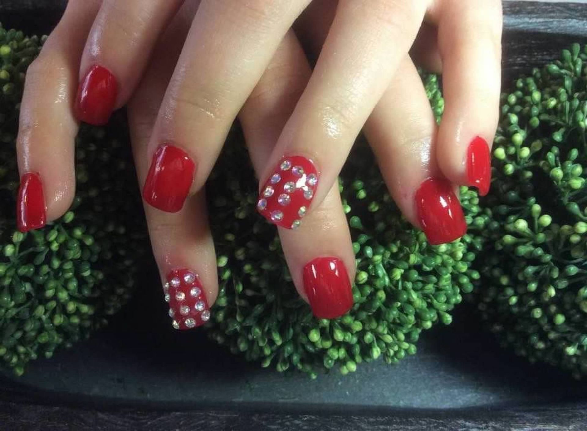Manicured hands with glossy red nails, two accent nails patterned with white polka dots, over greenery.
