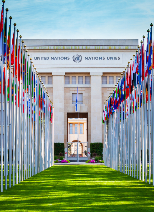 a row of flags are lined up in front of the united nations building