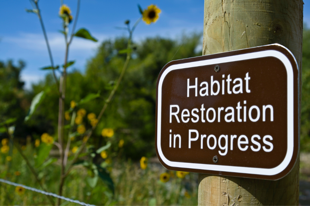 a sign on a pole that says habitat restoration in progress