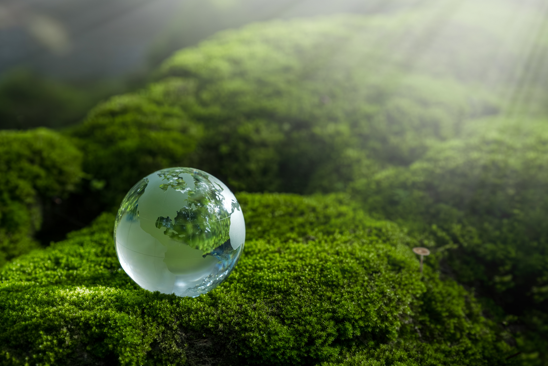 a glass globe is sitting on top of a mossy rock .
