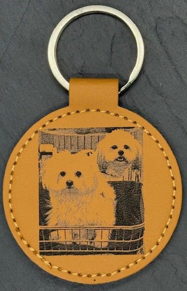 Sleutelhanger met twee honden in een kooi, gegraveerd op lichtbruin leer, zilveren sleutelring.