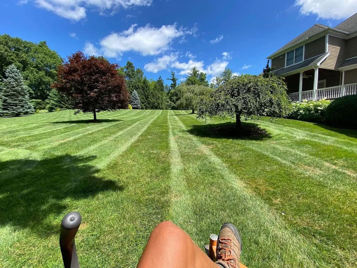 Lawn mowed with stripes under a blue sky. A person is seated in a mower, leg visible, with trees and house in the background.