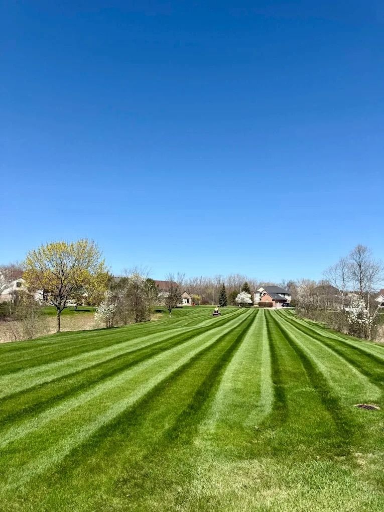 Green lawn mowed in straight lines under a clear blue sky with distant houses.