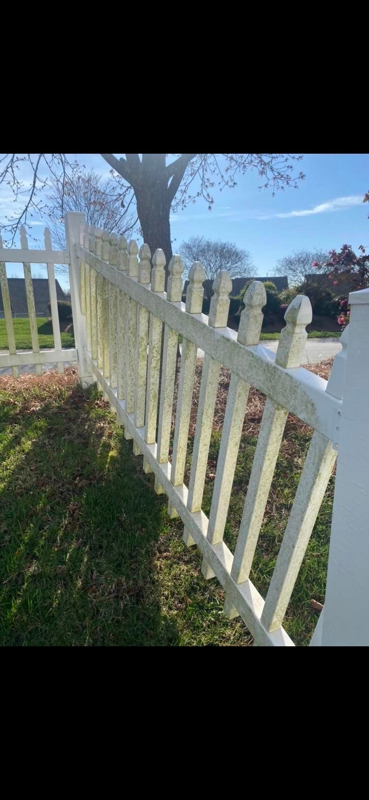 Mold and algae-covered white fence before expert fence cleaning services