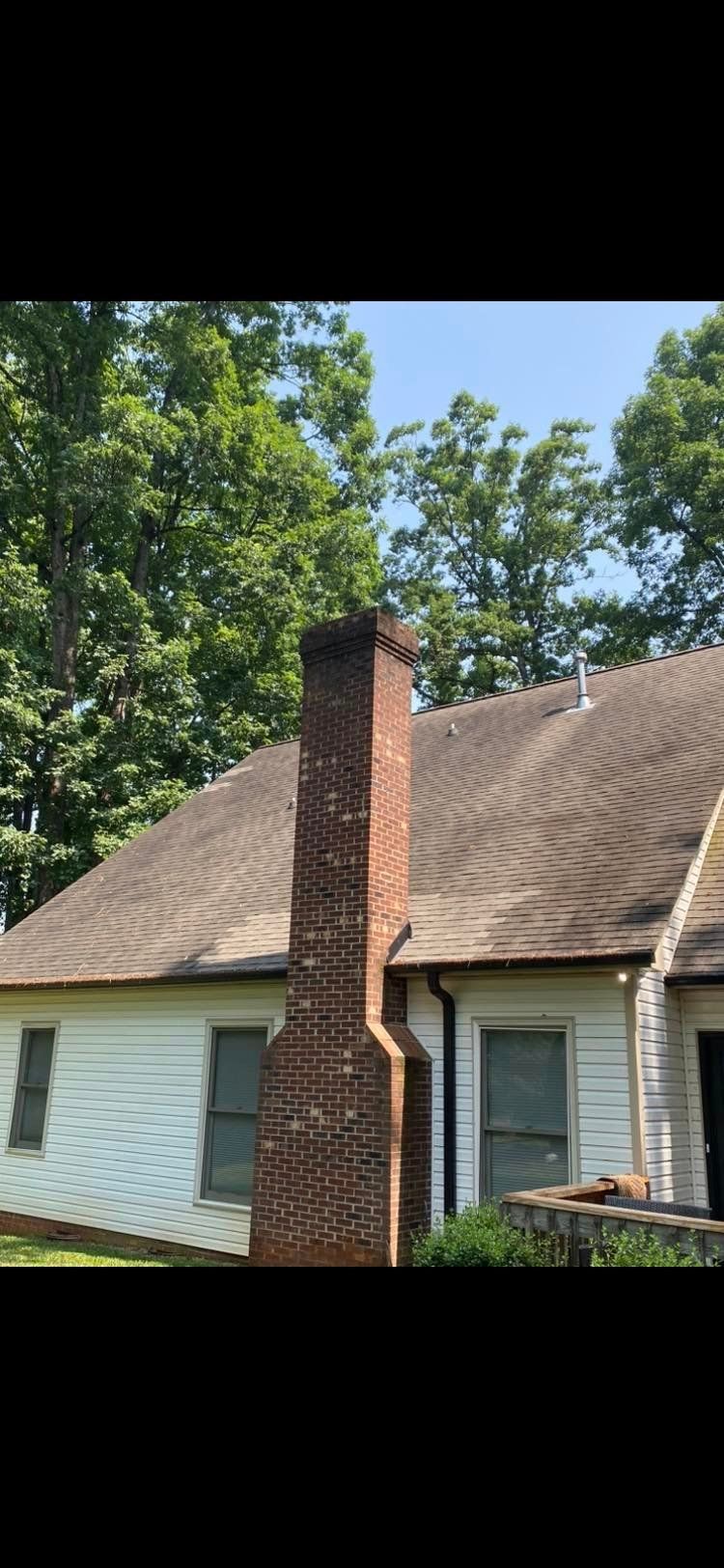  Algae-covered roof in need of professional roof cleaning services