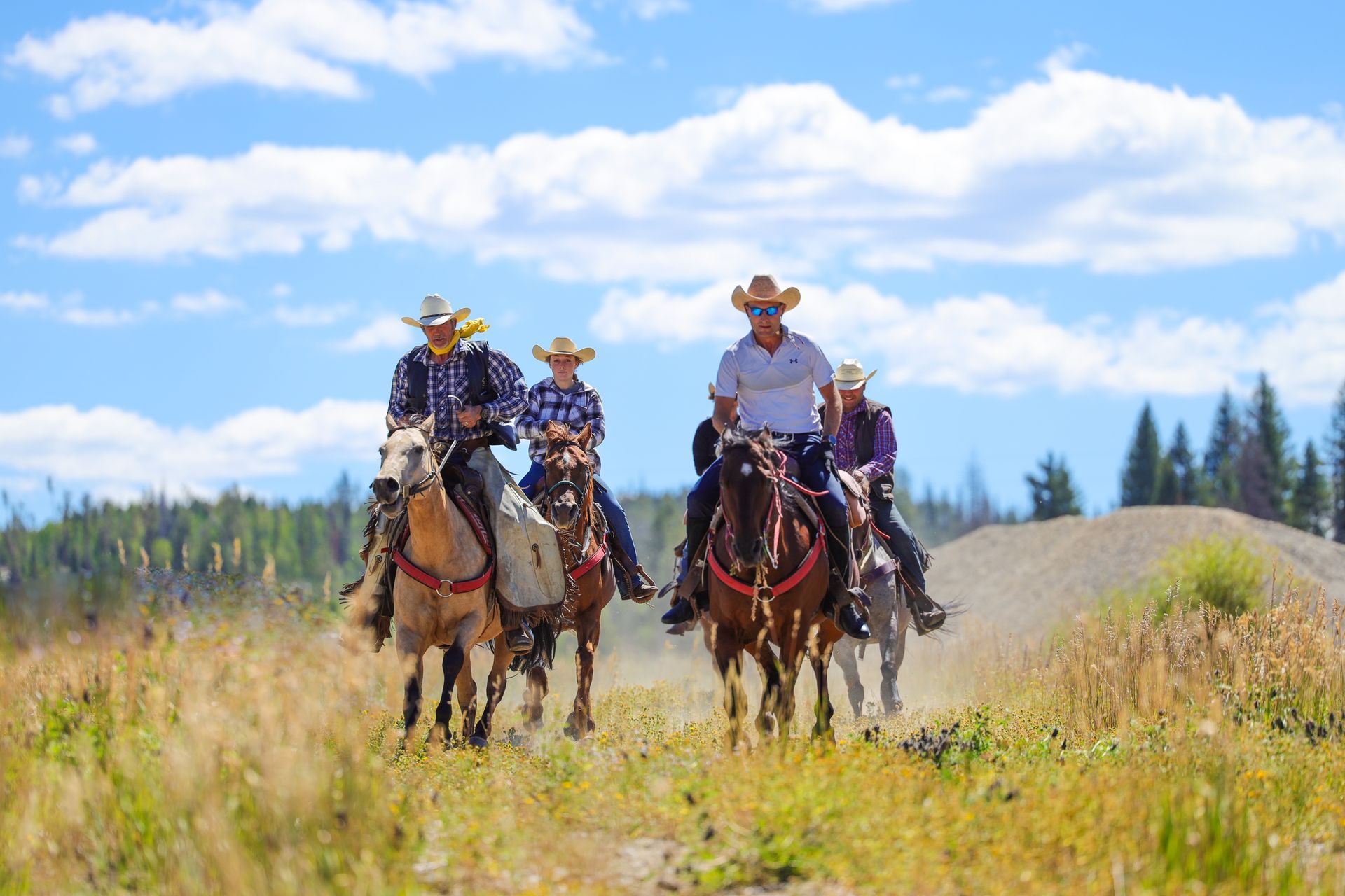 Four riders on horses along a grassy trail under a blue sky with clouds