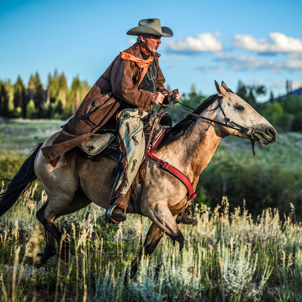 Cowboy riding a galloping horse through a grassy field at sunset