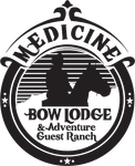 Medicine Bow Lodge & Adventure Guest Ranch logo with bison silhouette in a circular black-and-white emblem