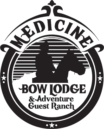 Medicine Bow Lodge & Adventure Guest Ranch logo with bison silhouette in a circular black-and-white emblem