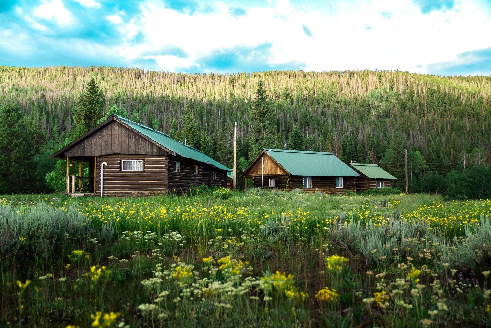 Two wooden cabins in a wildflower meadow with a forested hillside under a bright sky.