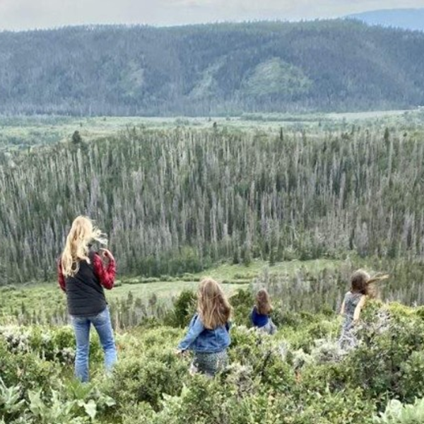 People hiking through green shrubs overlooking a forested valley and mountains.