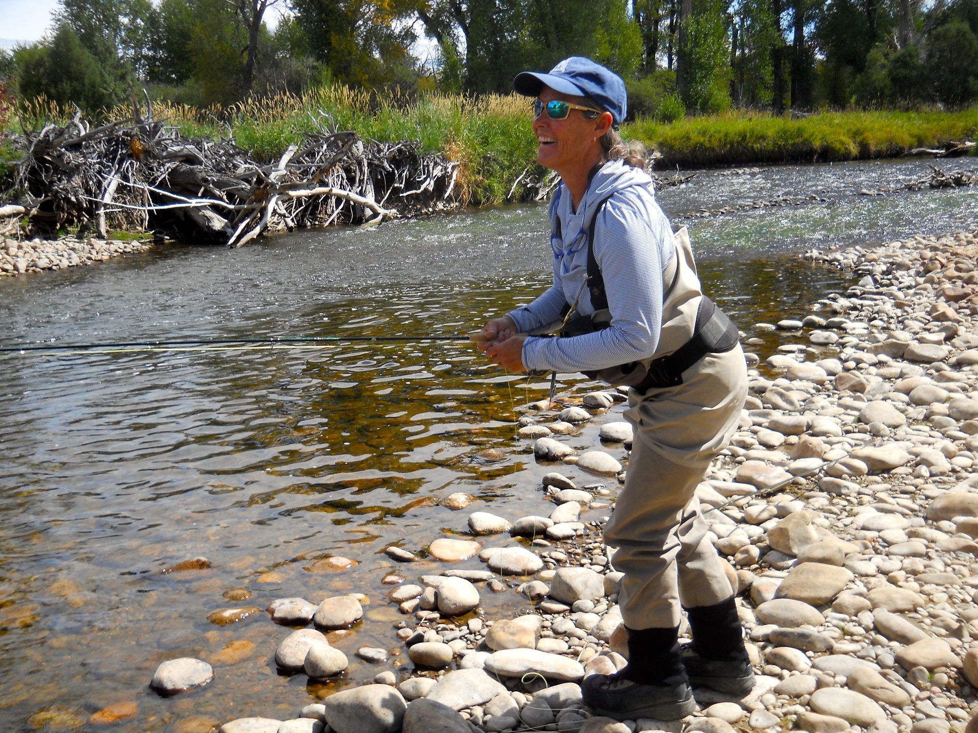 Person fly fishing in a shallow river beside a rocky bank and brush, wearing waders and a blue cap.