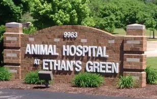 Animal Hospital Signage — Twinsburg, OH — Animal Hospital At Ethan's Green