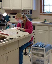 Cute Dog and Cat in Hospital — Twinsburg, OH — Animal Hospital At Ethan's Green