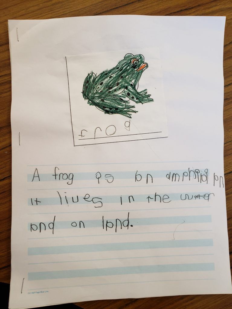 student homework writing- Milwaukee