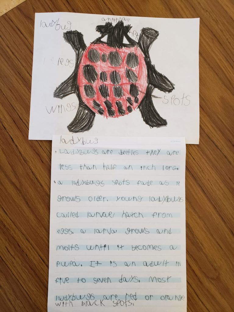 student homework art - Milwaukee