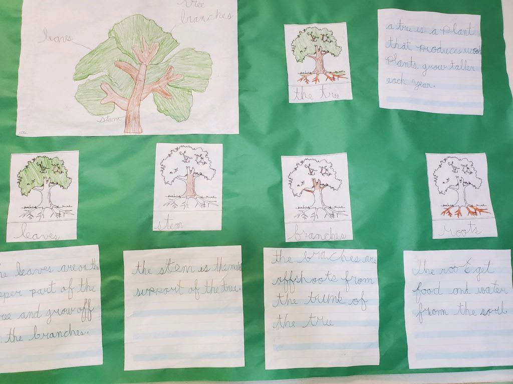 student homework