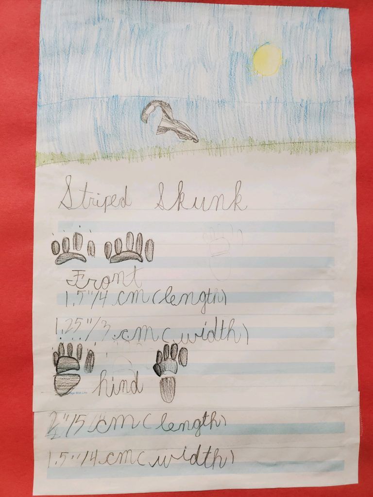 Children’s House (3 - 6 years) writing skill
