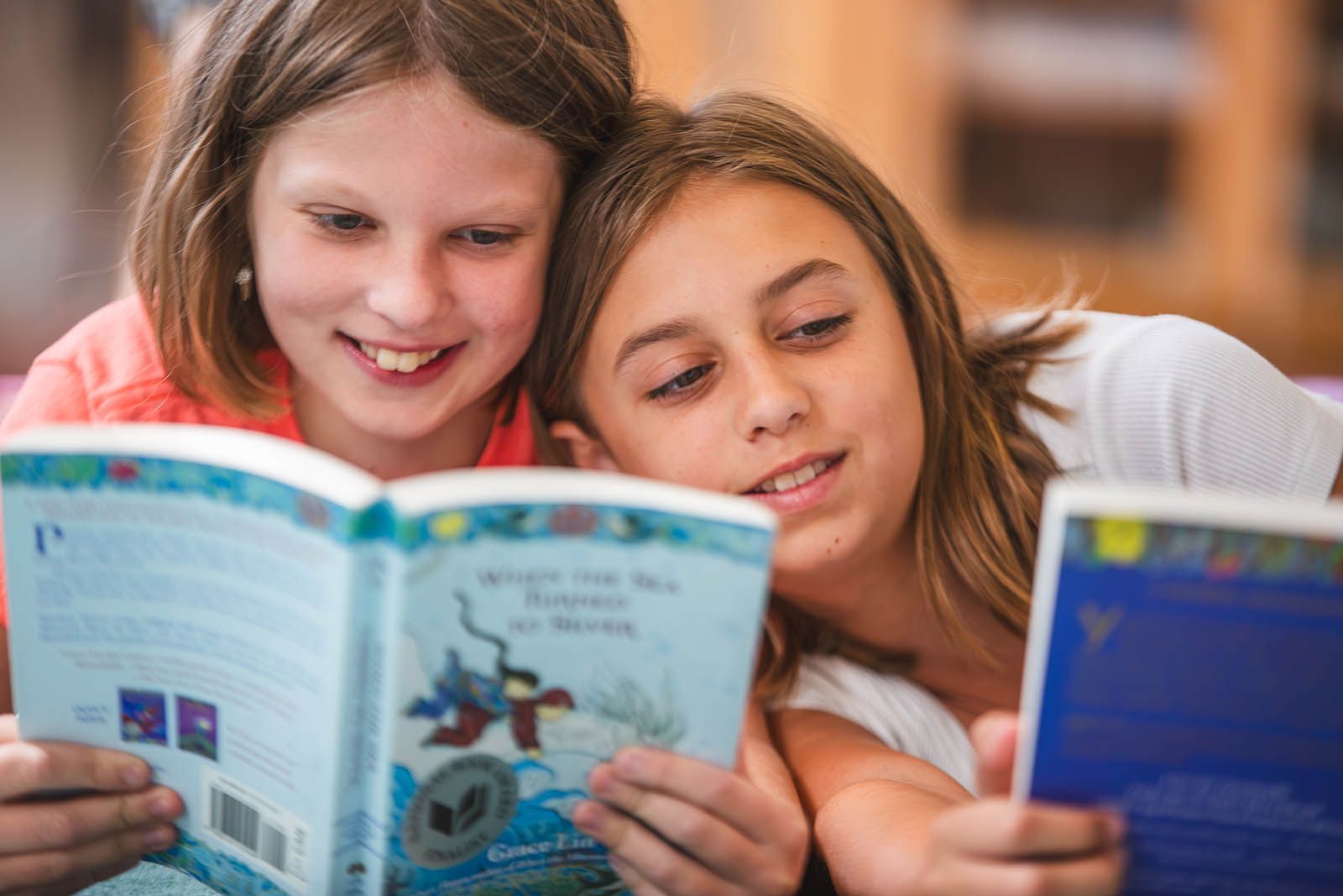 Empathy and Literature