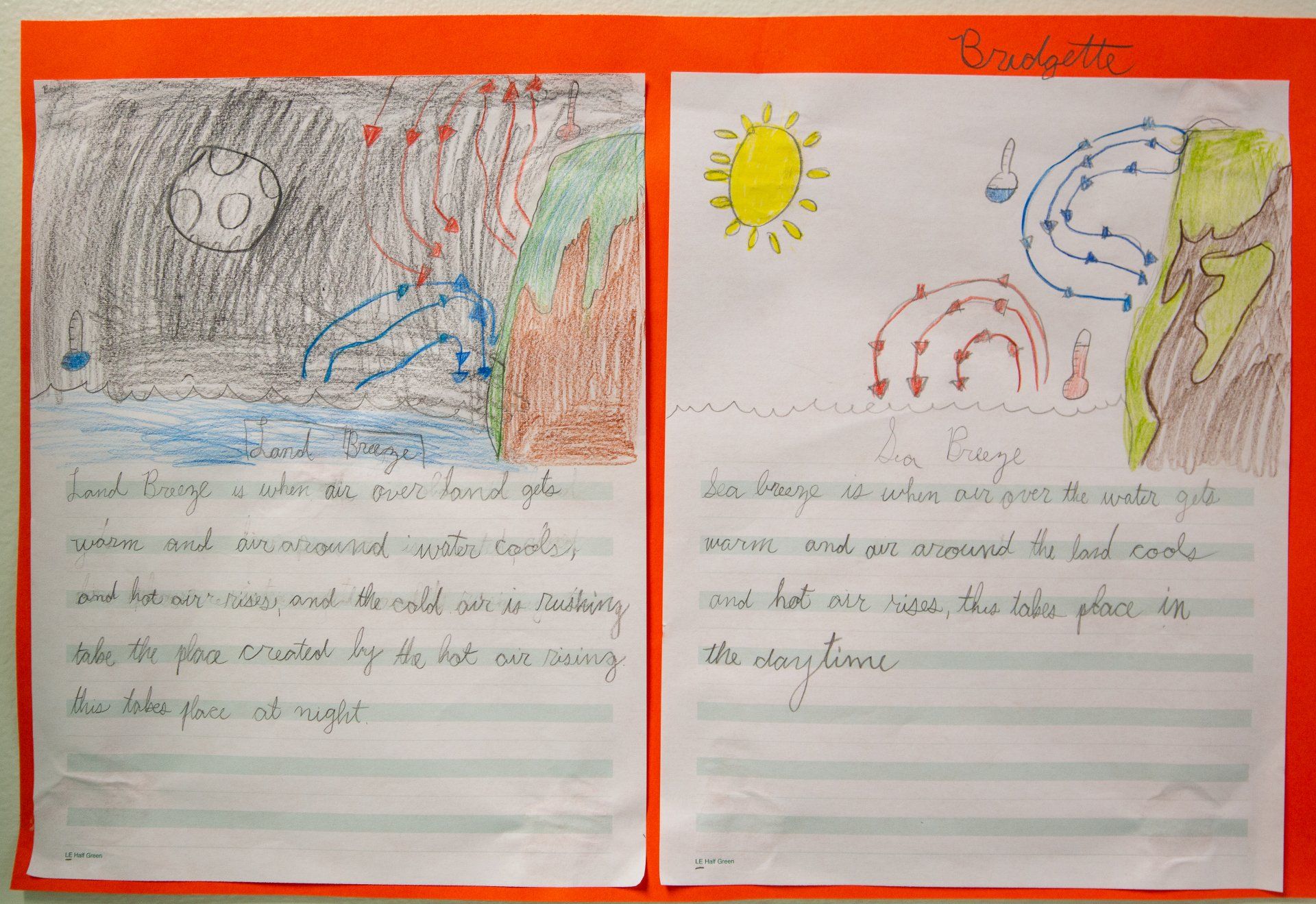 Lower Elementary (grades 1 - 3)