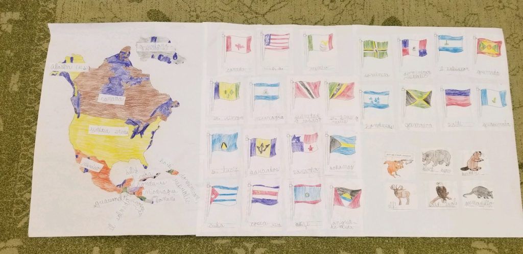 Continent-Study