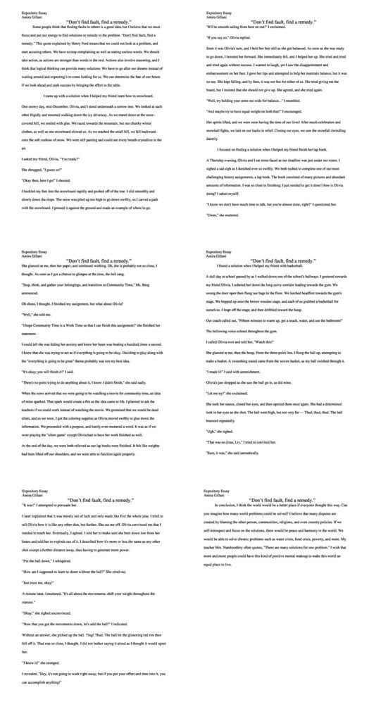Expository Essay