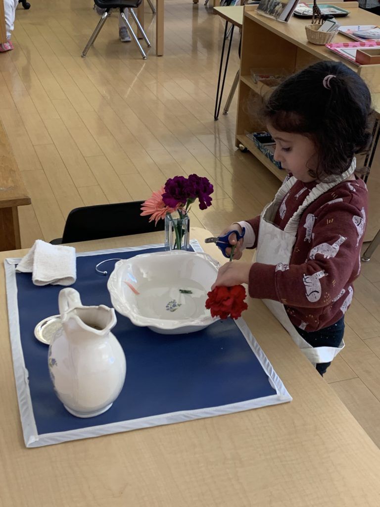 Flower-Arranging