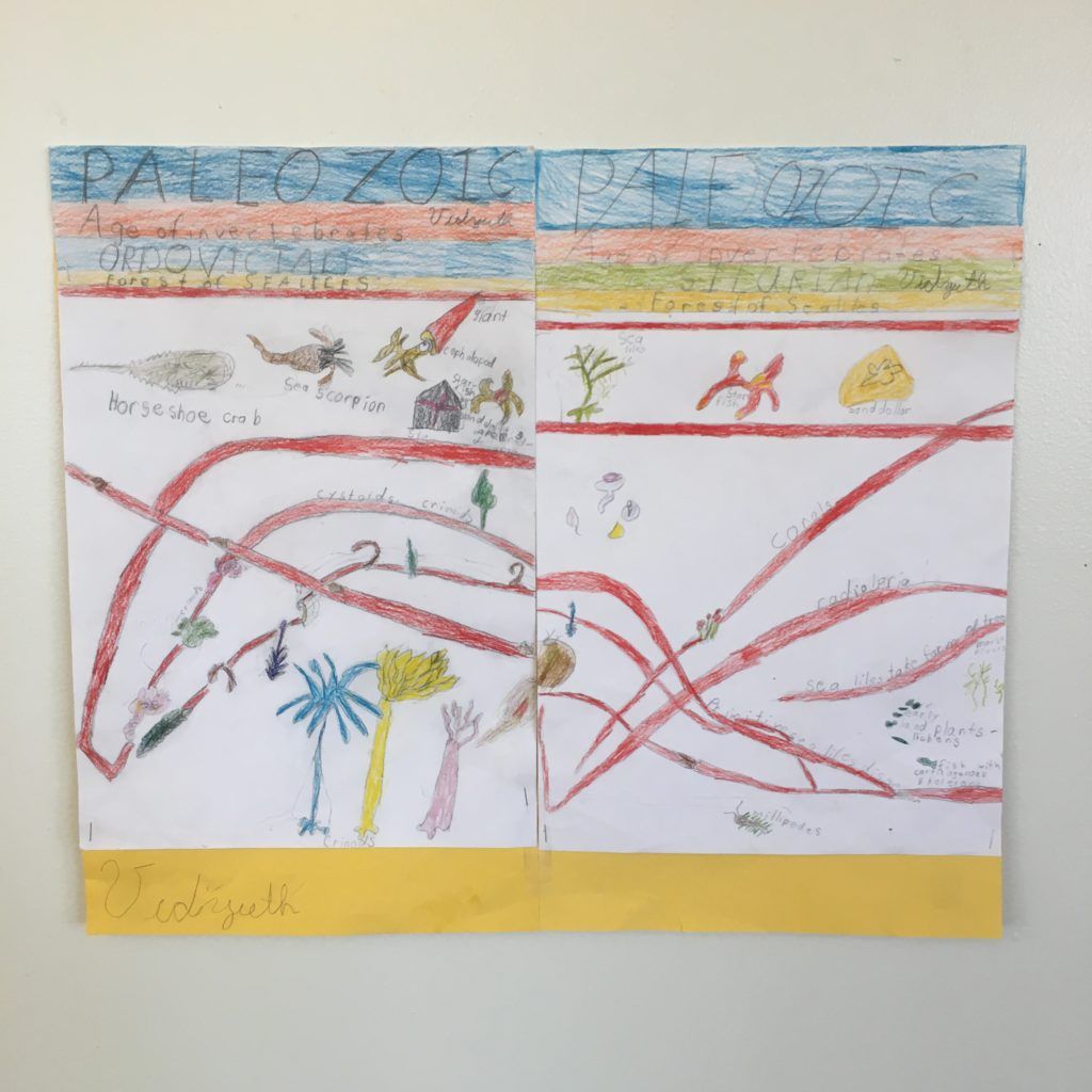 1st - 3rd Grade - Milwaukee Montessori School
