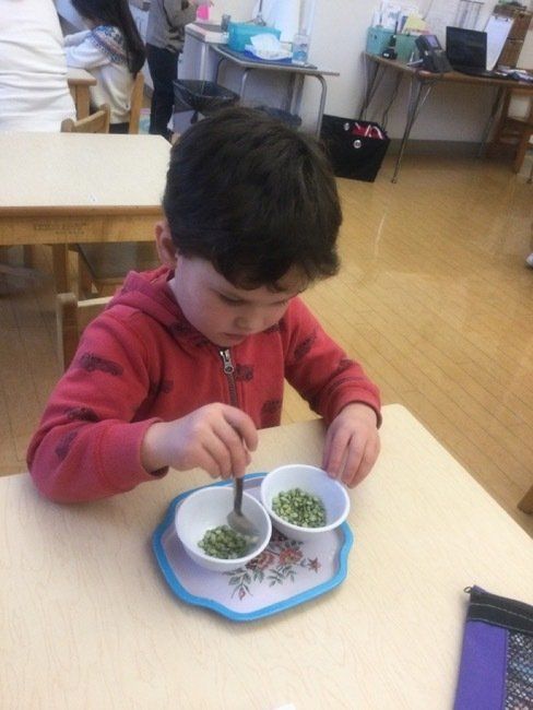 Children’s House (3 - 6 years) art 5