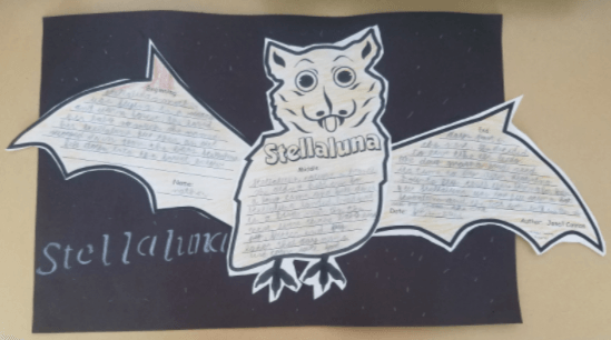 1st - 3rd Grade - Milwaukee Montessori School
