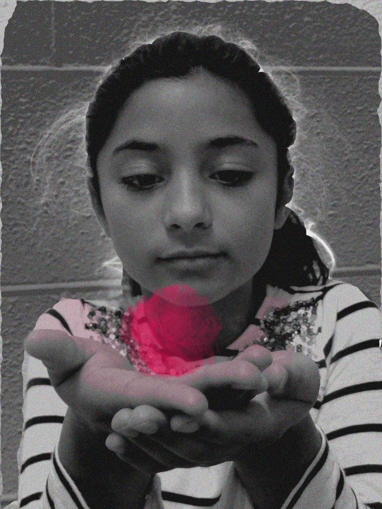 reppa_rose