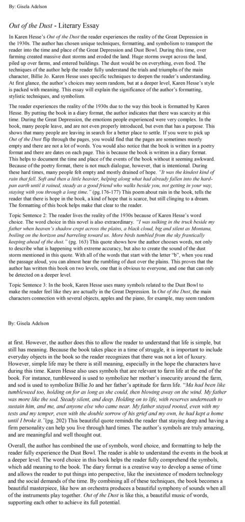 Literay Essay