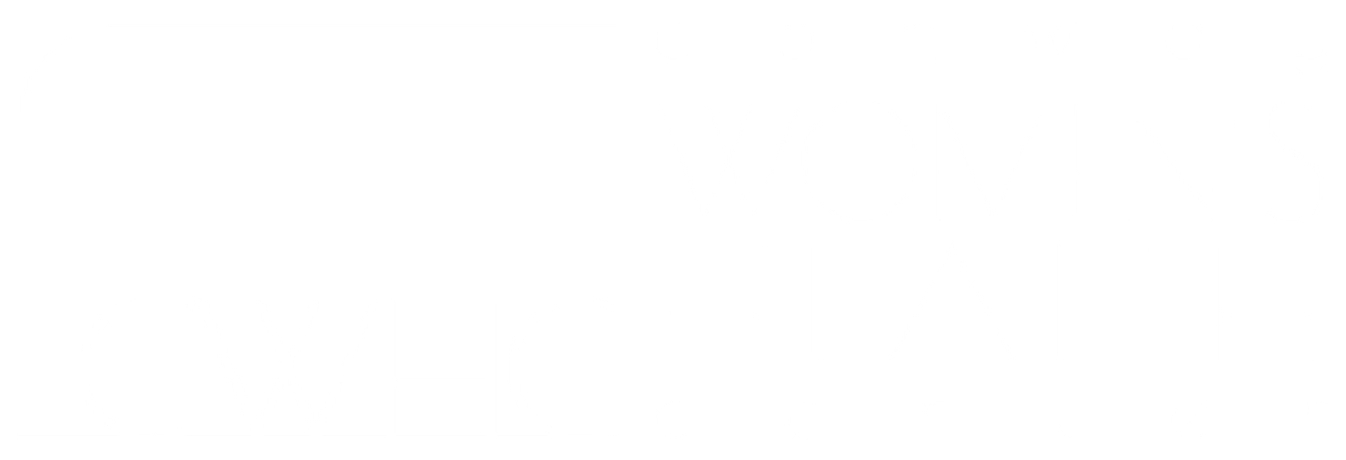 Blank white horizontal rectangle on a light gray background, likely a placeholder or empty banner.