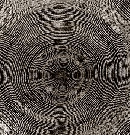 A close up of the annual rings of a tree.